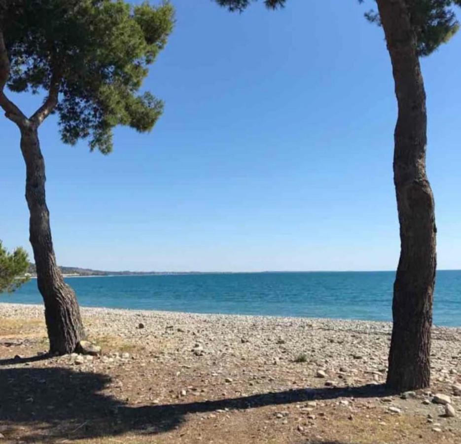 La Casa Al Mare Corallo Verde Montegiordano Bagian luar foto